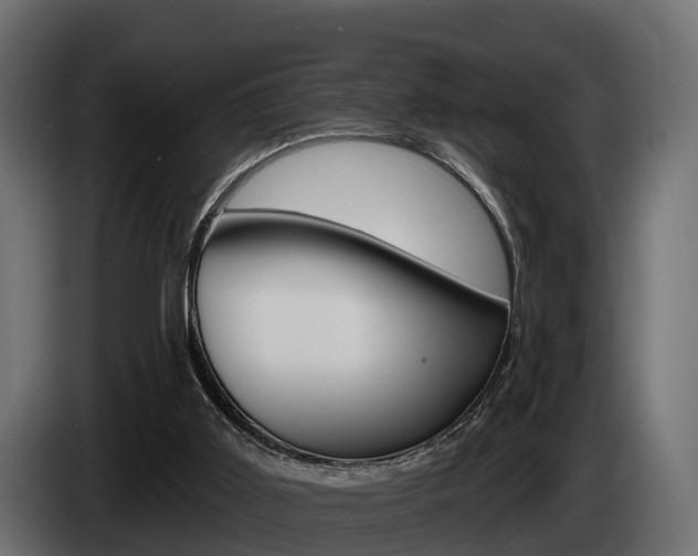 X0000085020011200703050948