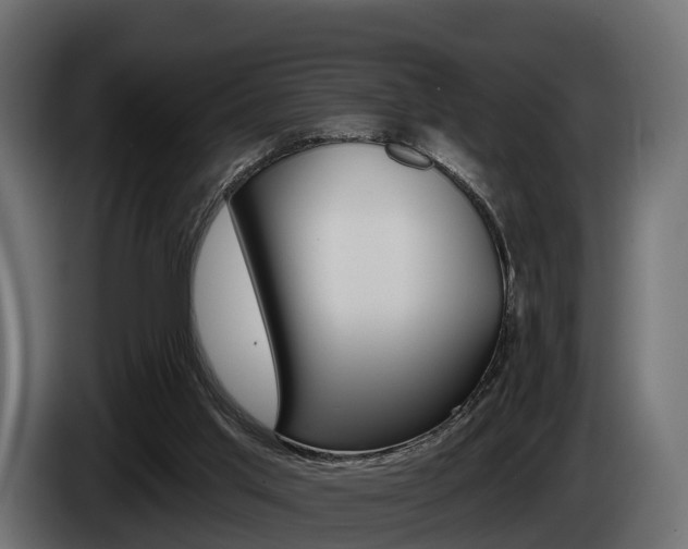 X0000085020013200703050947