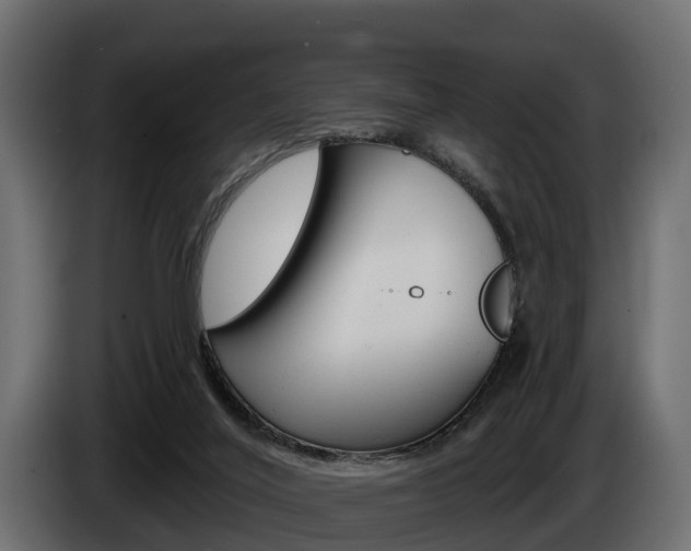 X0000085020020200703050947