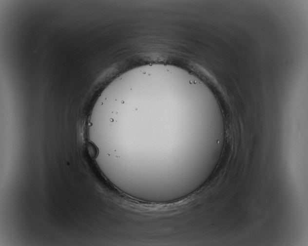 X0000085020023200703050947
