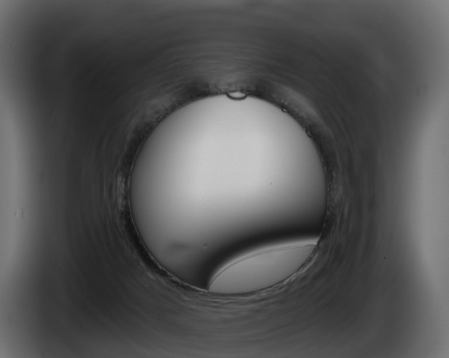 X0000085020025200703050947