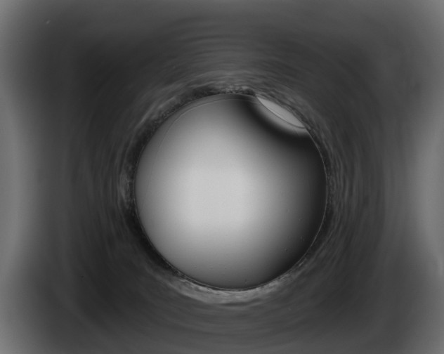 X0000085020035200703050947