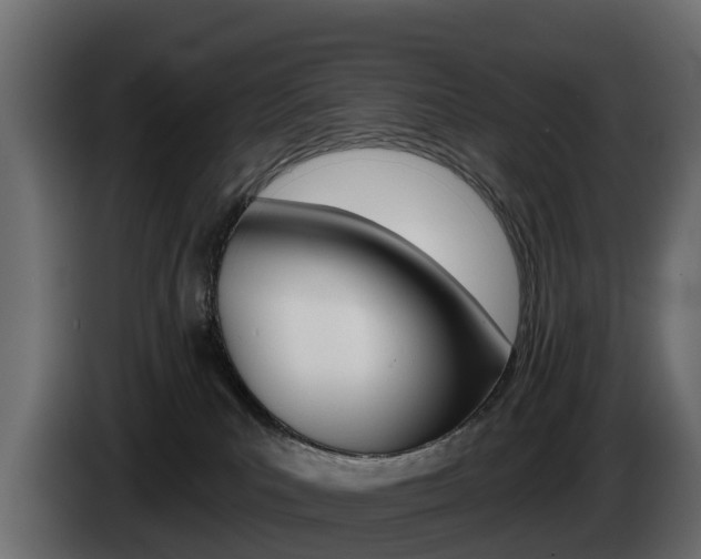 X0000085020039200703050947