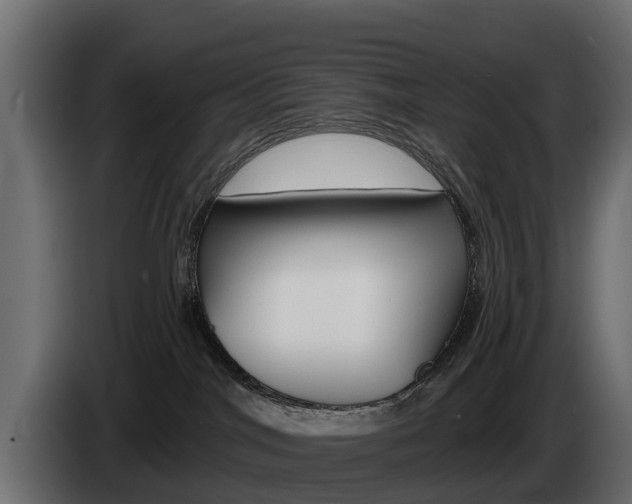 X0000085020044200703050947