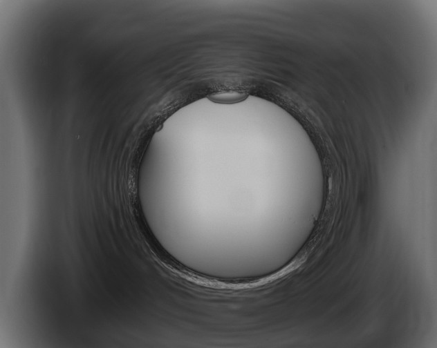 X0000085020048200703050947