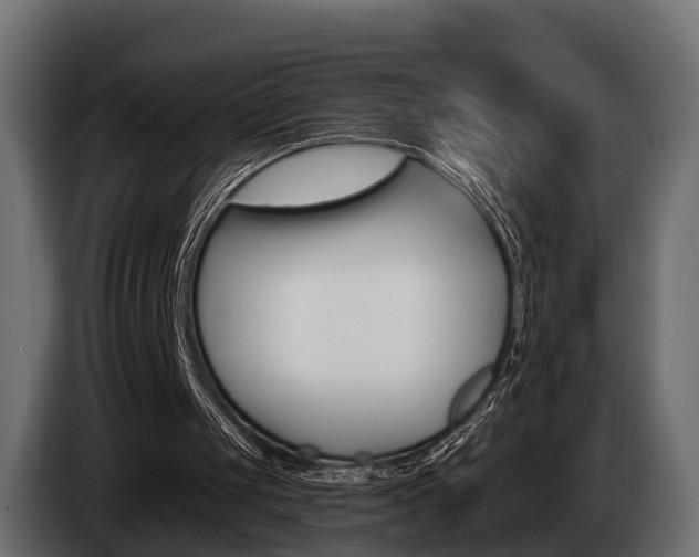 X0000085020049200703050946