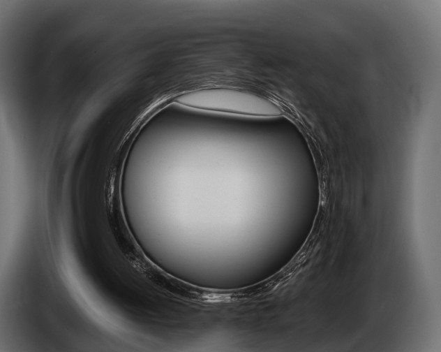 X0000085020052200703050946