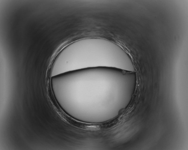 X0000085020053200703050946