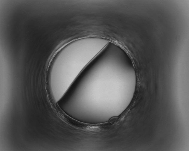 X0000085020055200703050946