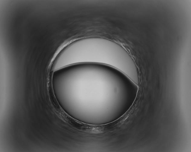 X0000085020056200703050946