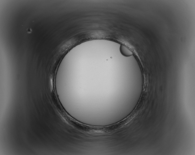 X0000085020061200703050946