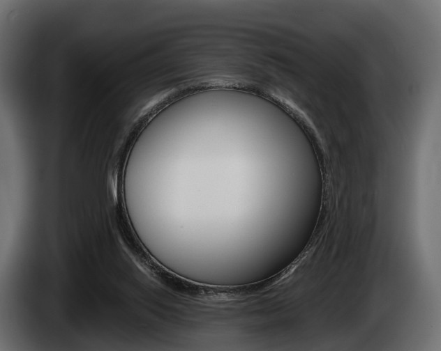 X0000085020062200703050946