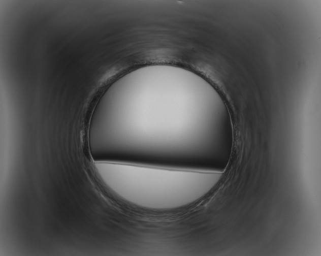 X0000085020063200703050946