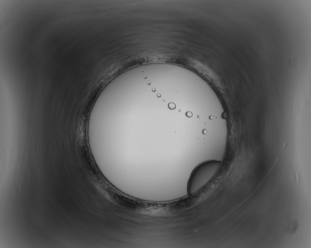 X0000085020065200703050947