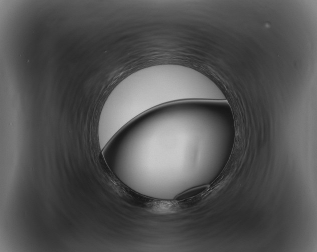 X0000085020096200703050947