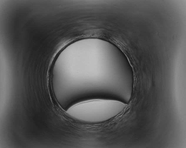 X0000085020100200703050946