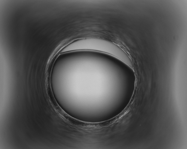 X0000085020101200703050946
