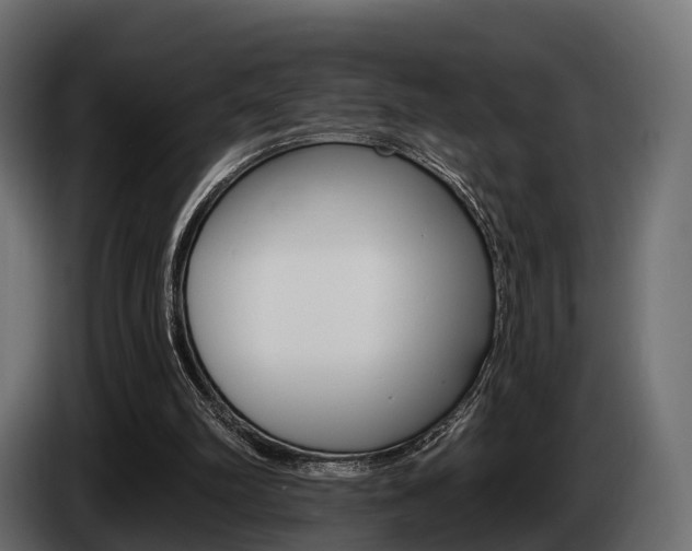 X0000085020102200703050946