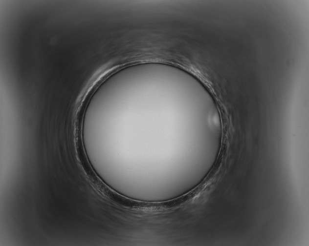 X0000085020103200703050946