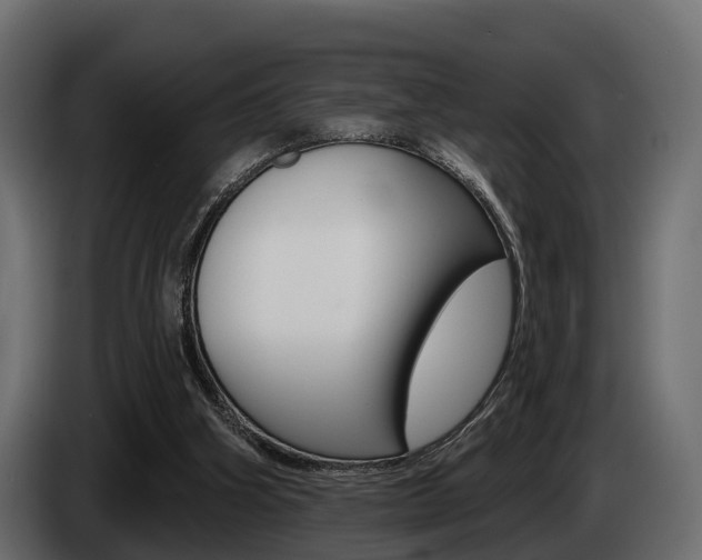 X0000085020106200703050946