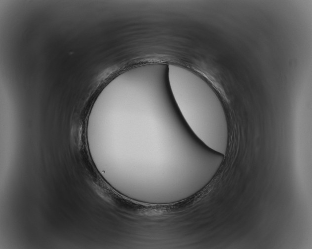 X0000085020110200703050946