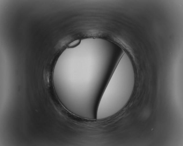 X0000085020115200703050946