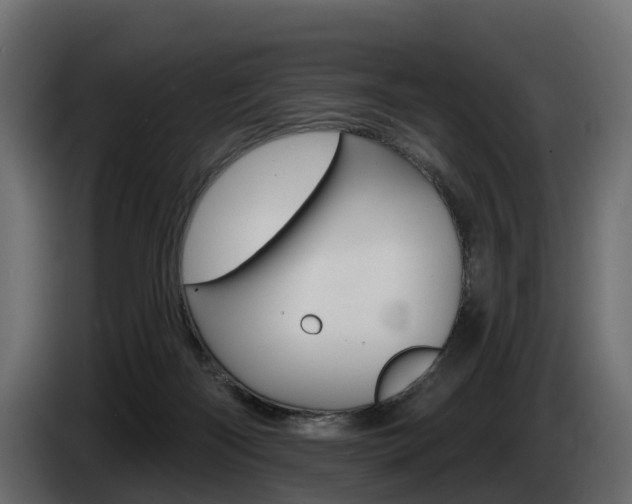 X0000085020122200703050946