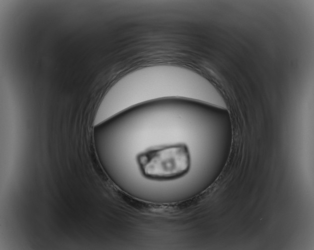 X0000085020125200703050946