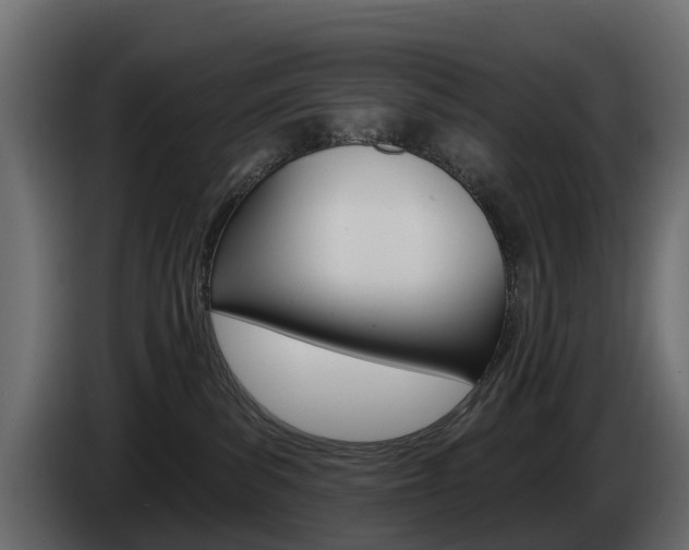 X0000085020139200703050946