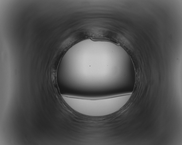 X0000085020141200703050946