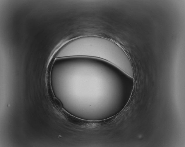 X0000085020152200703050945