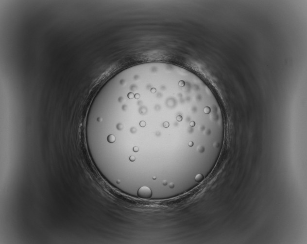 X0000085020153200703050945