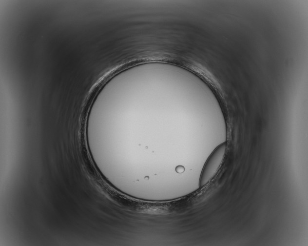X0000085020155200703050945