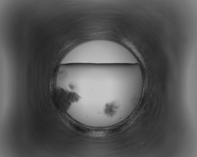 X0000085020161200703050945