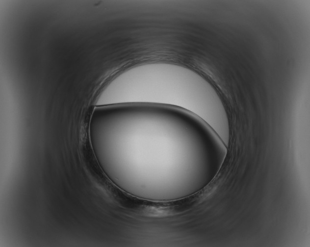 X0000085020164200703050945