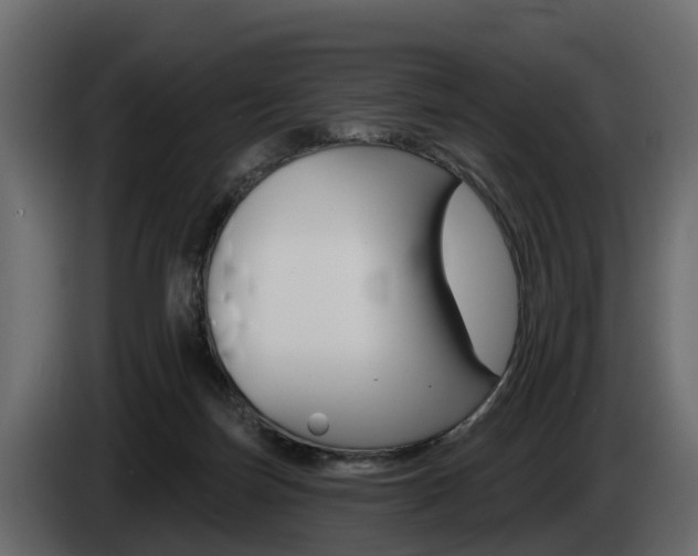 X0000085020171200703050945