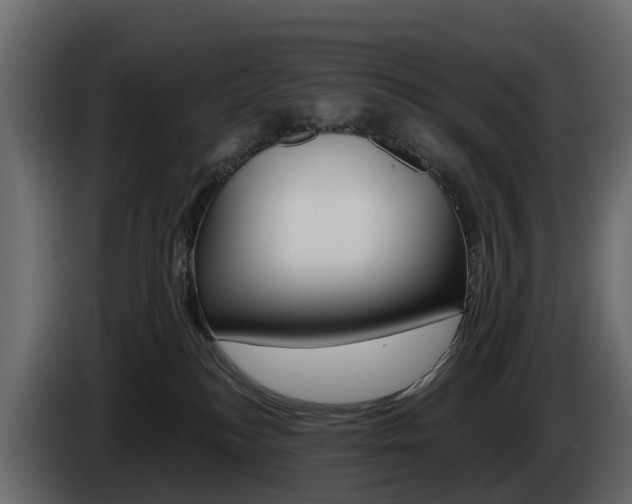 X0000085020184200703050945
