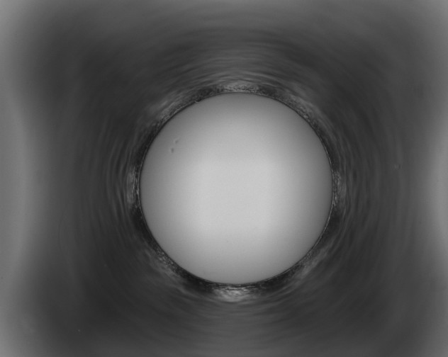 X0000085020189200703050946