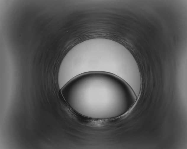 X0000085020190200703050946