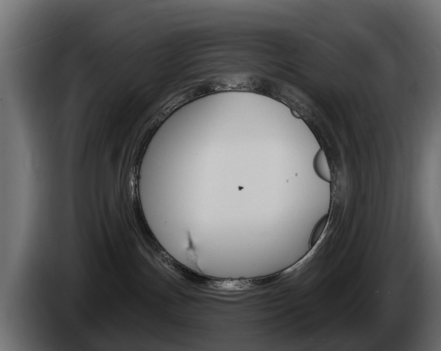 X0000085020191200703050946