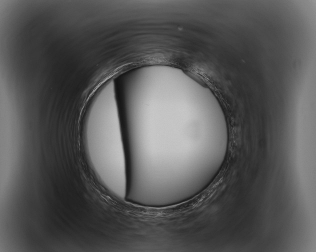X0000085020194200703050945