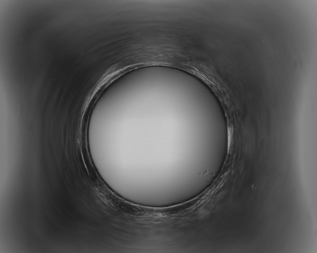 X0000085020195200703050945