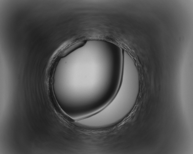 X0000085020197200703050945