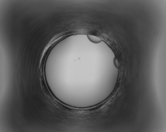 X0000085020198200703050945