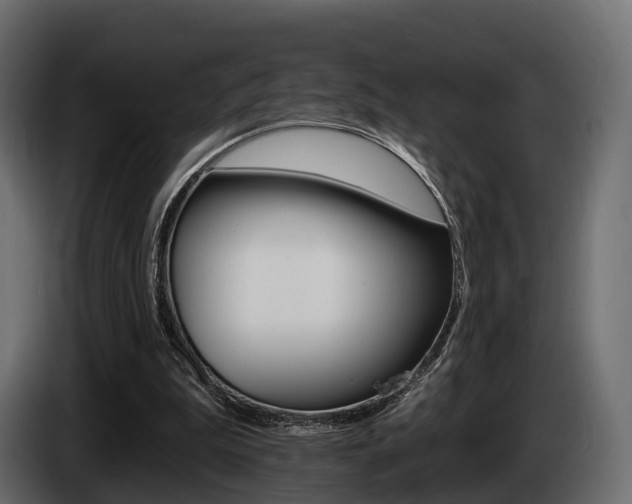 X0000085020199200703050945