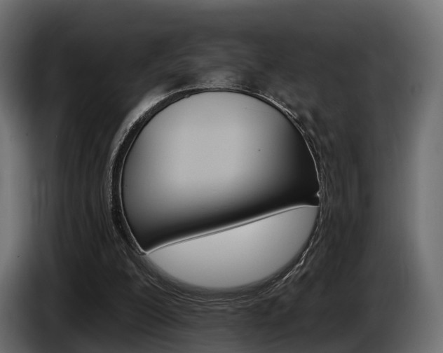 X0000085020200200703050945
