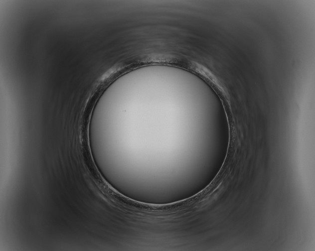 X0000085020203200703050945