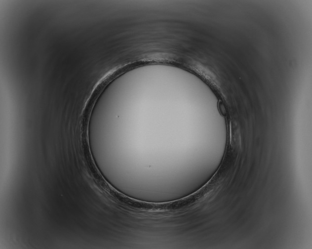 X0000085020204200703050945