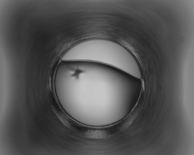 X0000085020205200703050945