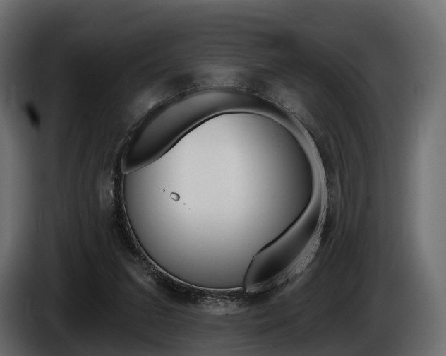 X0000085020207200703050945